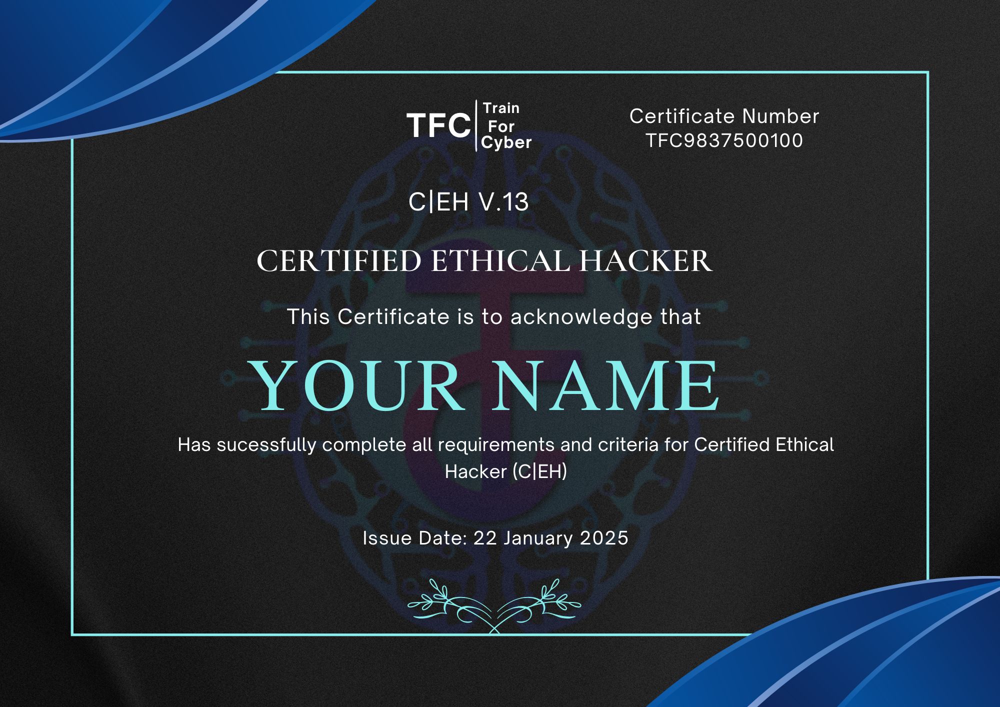 TrainForCyber_certification